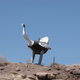 Image for article titled Meet Arizona's dilapidated roadside dinosaurs
